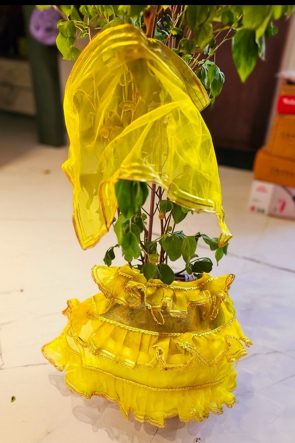 Tulsi Mata Poshak β Elegant Attire for Vrindavan