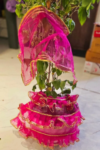 Tulsi Mata Poshak – Elegant Attire for Vrindavan (PINK)
