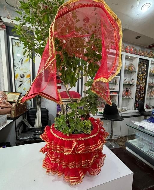 Tulsi Mata Poshak – Elegant Attire for Vrindavan (PINK)